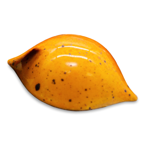 Orange Star sugar free dark chocolate bonbon with orange coloring and black speckles