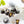 Pistachio Caramel dark chocolate bonbons with green splattered paint on a white table surrounded by white flowers and pistachios