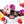 Roses and Raspberries dark chocolate bonbons with pink splattered paint and creamy pink filling on a white table surrounded by roses and raspberries