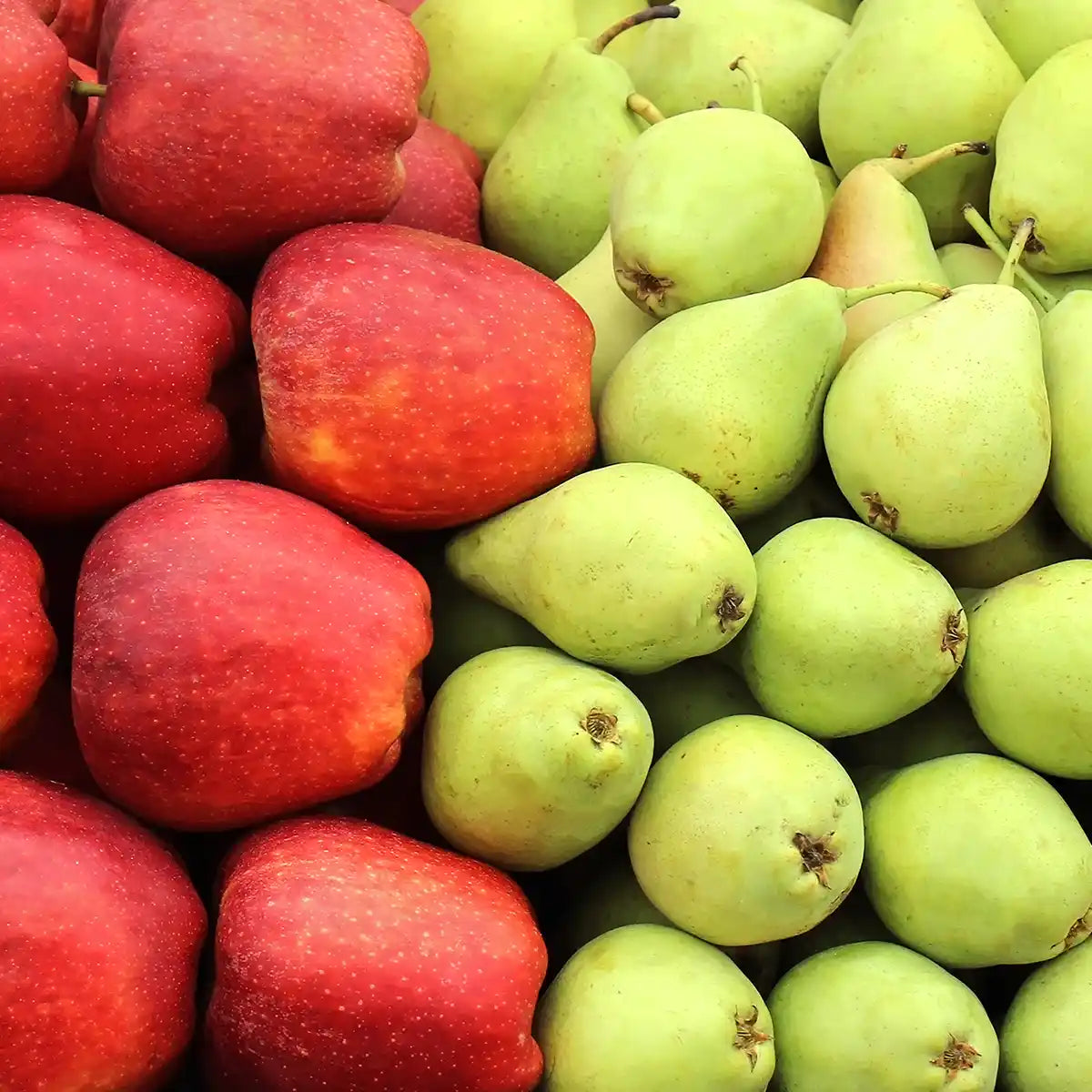 Organic apples and pears used to make erythritol