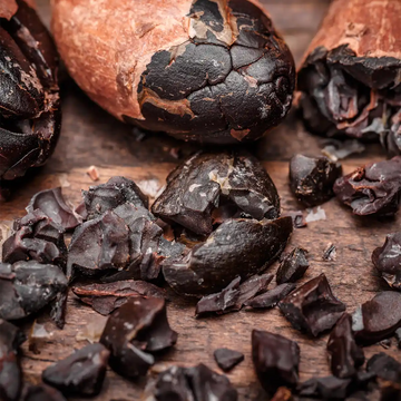 Cacao bean with cacao nibs